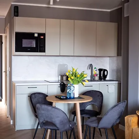 Apartment Apartamenty Drevny Kocur Poznan