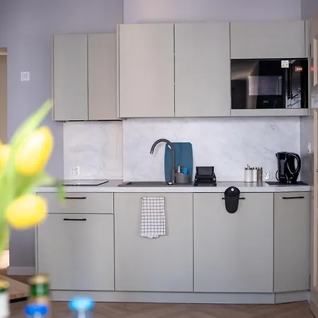 Apartamenty Drevny Kocur Apartment Poznan