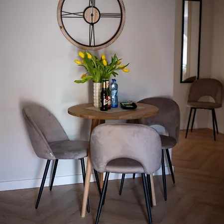 Apartment Apartamenty Drevny Kocur Poznan